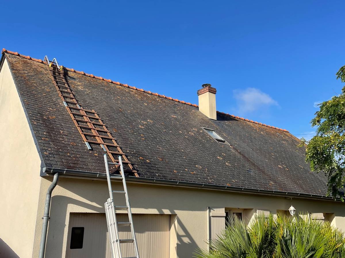 Toiture envahie de mousse avant démoussage — Dinard, Saint-Malo (35)